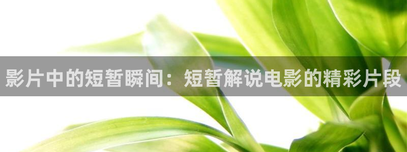 乔家的儿女在线观看免费完整版西瓜